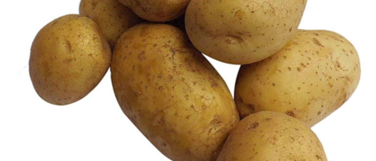Вега картофель характеристика отзывы фото. Семенной картофель Вега. Картофель семенной Беллароза. Картошка Гала и Вега. Сорт картофеля Вега.