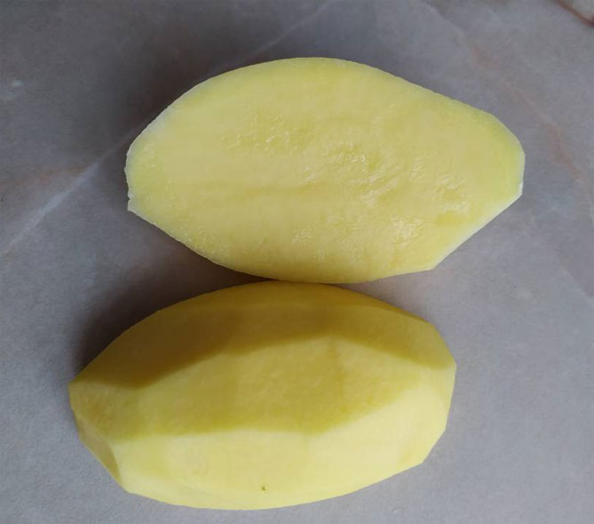 Сорт картофеля Вега. Сорт Вега картофель характеристика. Картофель Вега фото. Картофель Вега Лабелла.