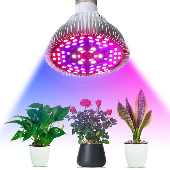 Как выбрать лампу для рассады и комнатных растений10